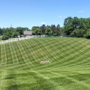 Recently cut grass 